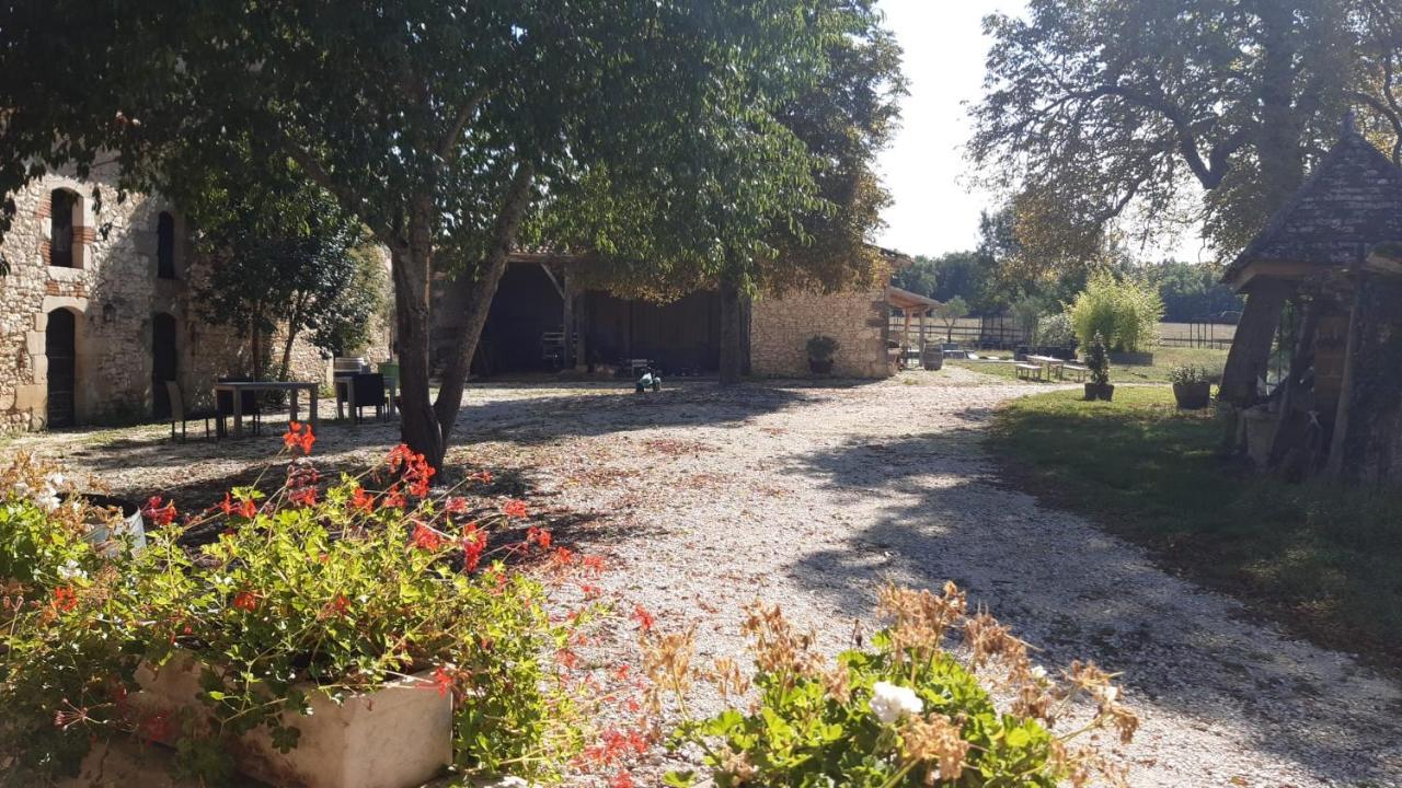 Bed and Breakfast Domaine L'Esprit D'Antan Вильнёв-сюр-Ло Экстерьер фото
